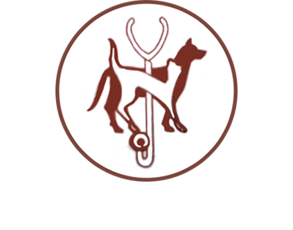 מרפאה וטרינרית ד”ר גילה צור